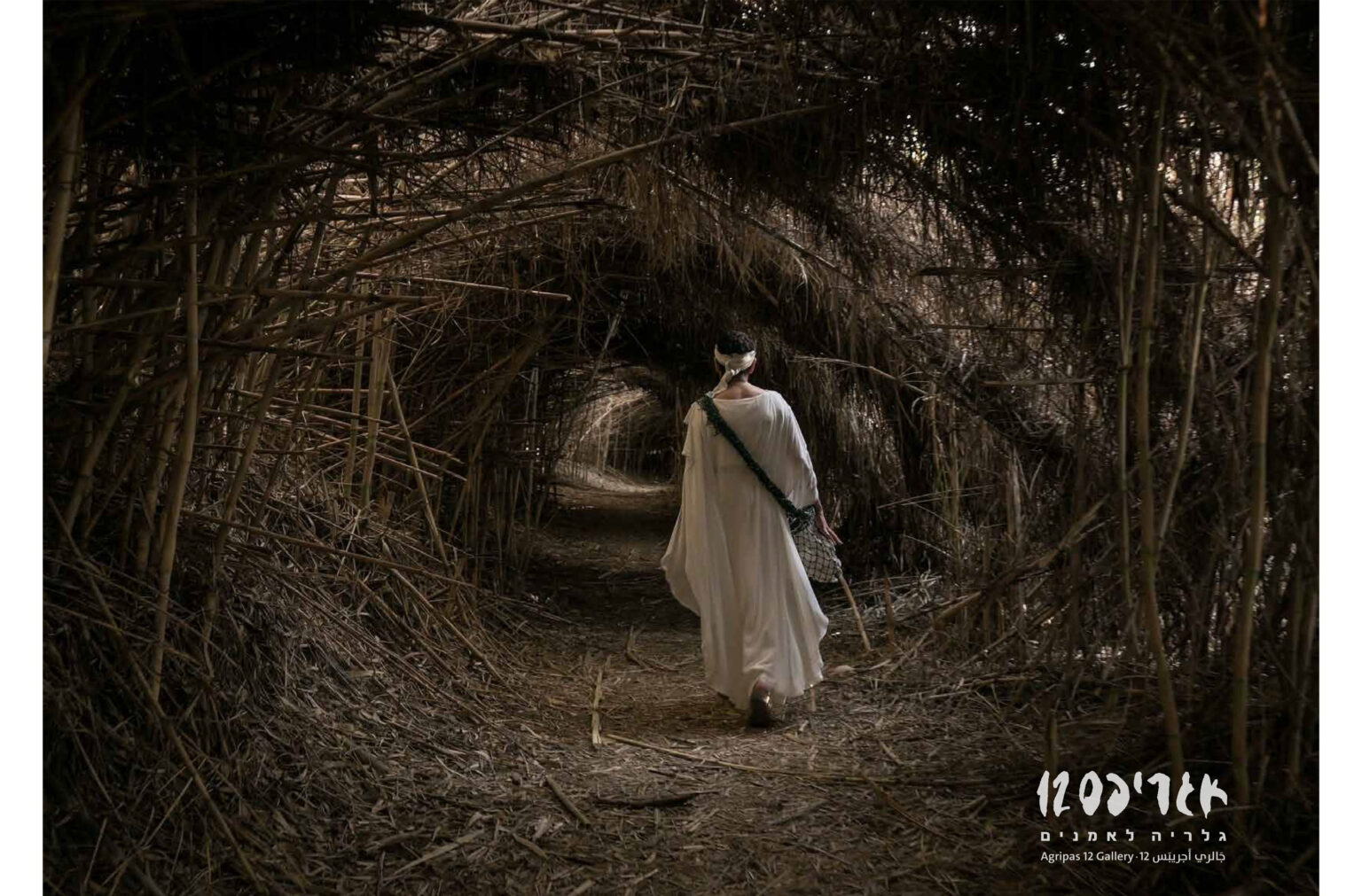 גלריה אגריפס 12, ירושלים