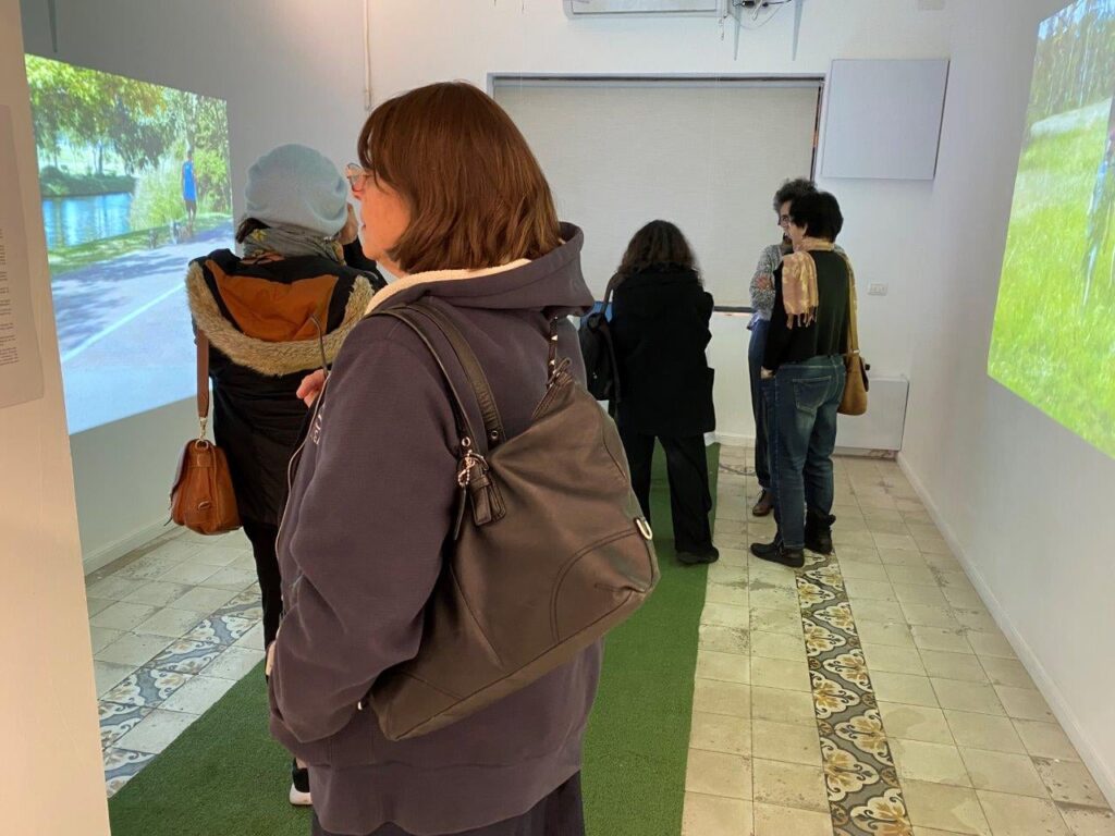 גלריה אגריפס 12