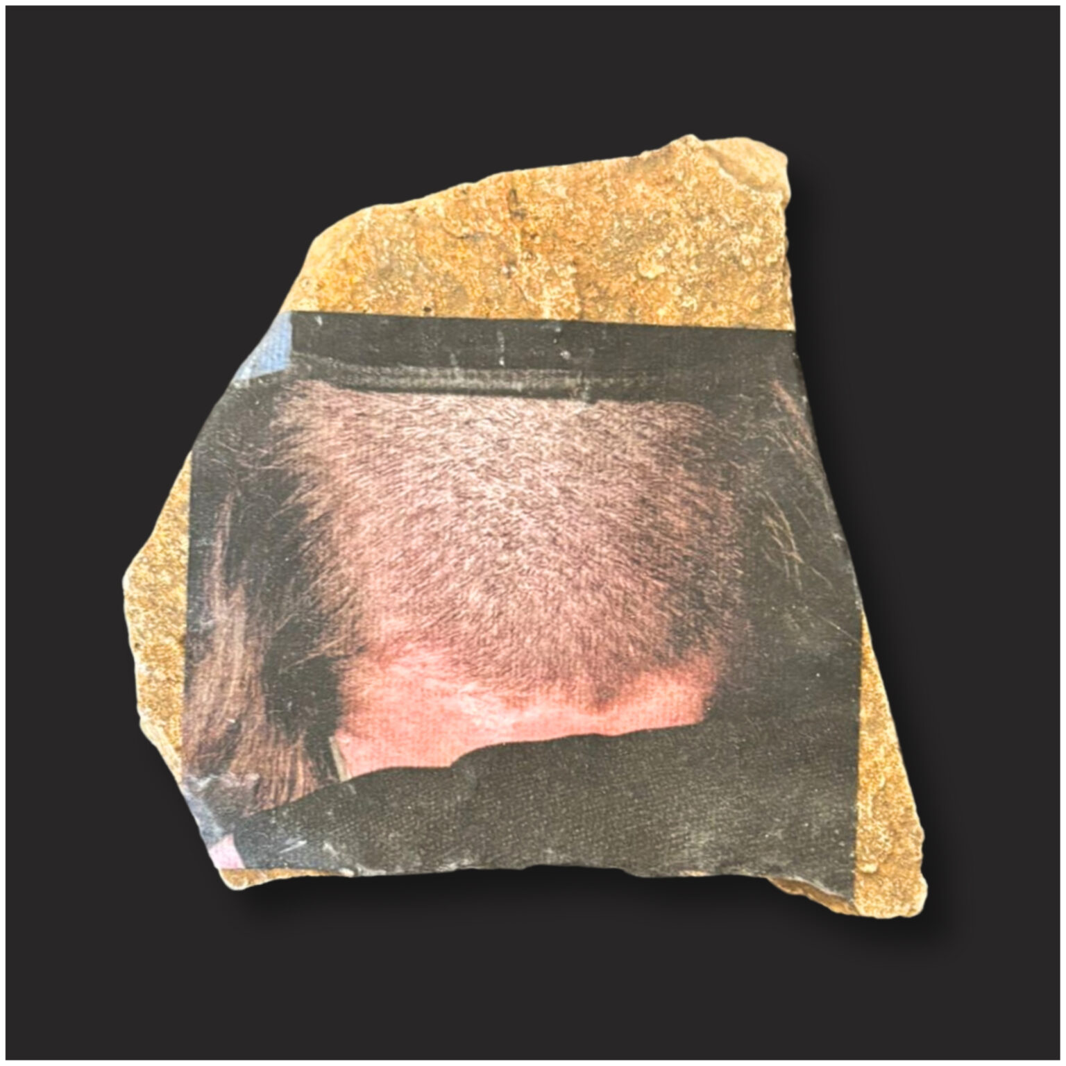 גלריה אגריפס 12