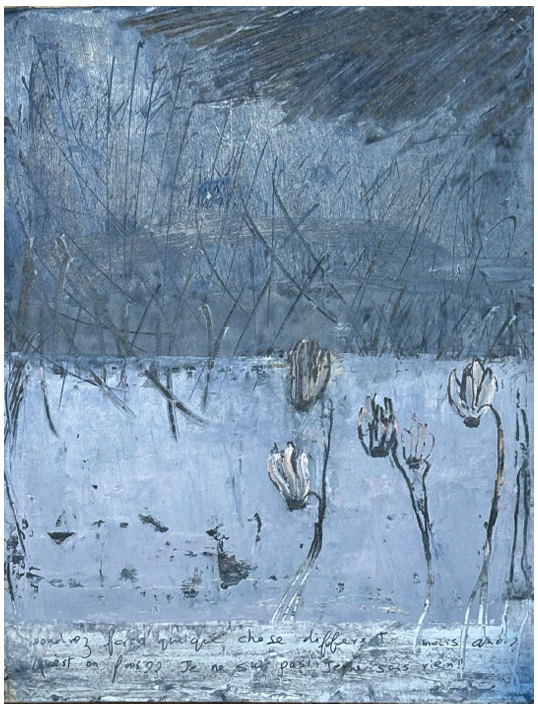 גלריה אגריפס 12