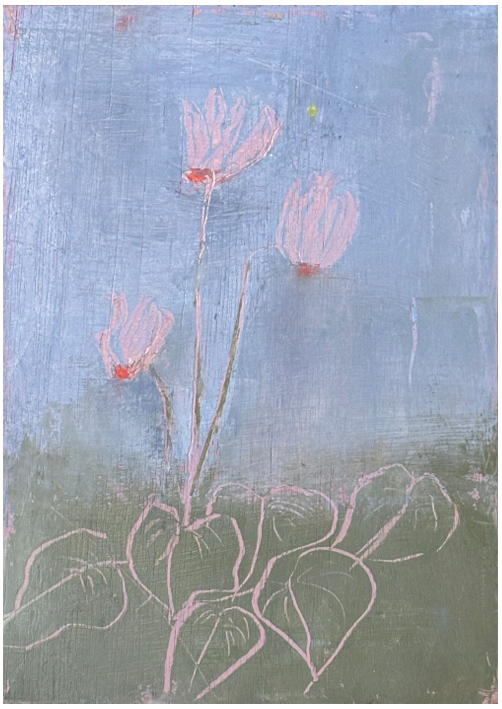 גלריה אגריפס 12