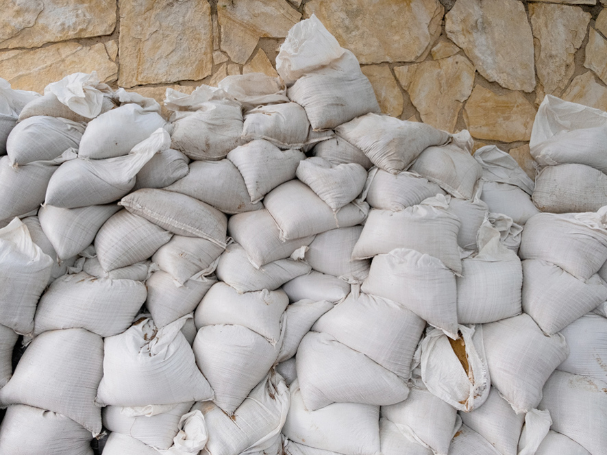 גלריה אגריפס 12