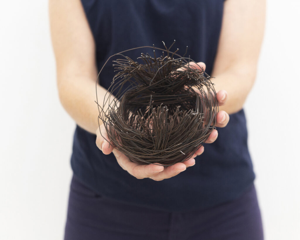 גלריה אגריפס 12