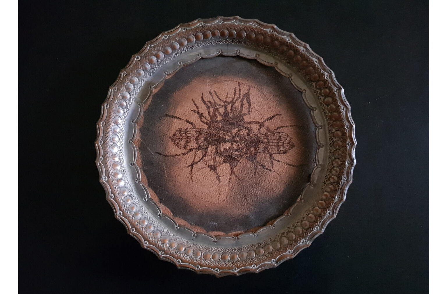 גלריה אגריפס 12